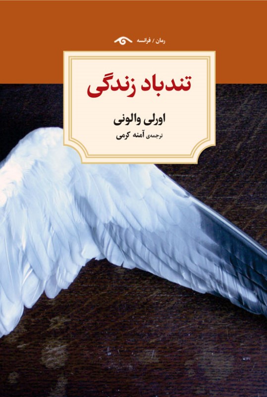 تندباد زندگی
