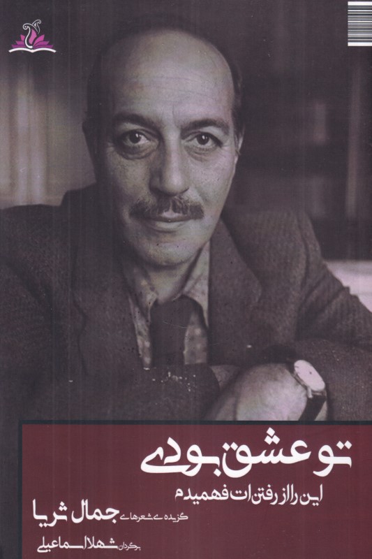 تو عشق بودی (این را از رفتن‌ات فهمیدم)