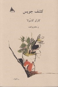 تصویر  كشف جويس (مجموعه داستان)