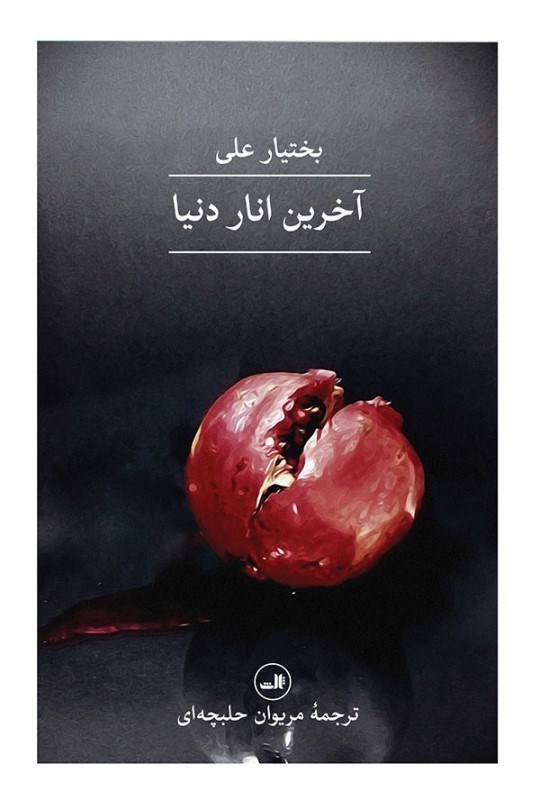 تصویر  آخرين انار دنيا