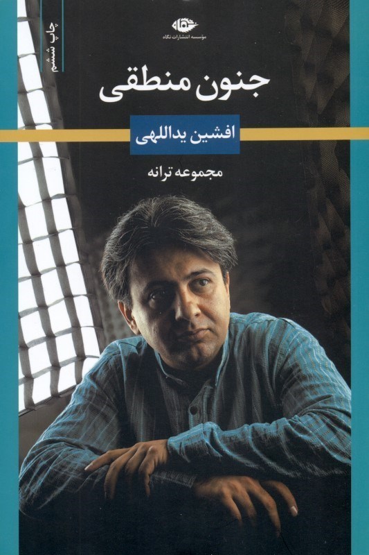 تصویر  جنون منطقي (مجموعه ترانه)