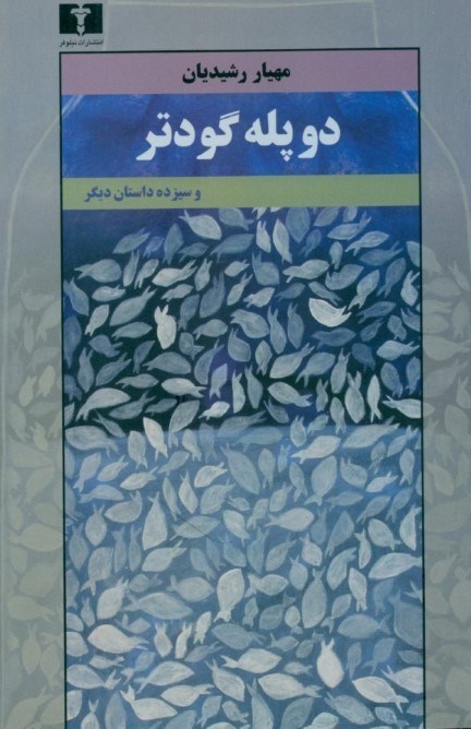 تصویر  دو پله گودتر و 13 داستان ديگر (مجموعه داستان)