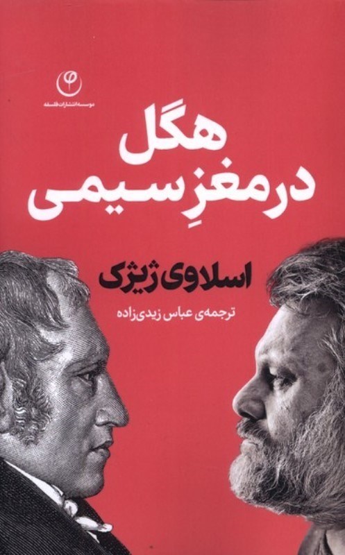 تصویر  هگل در مغز سيمي