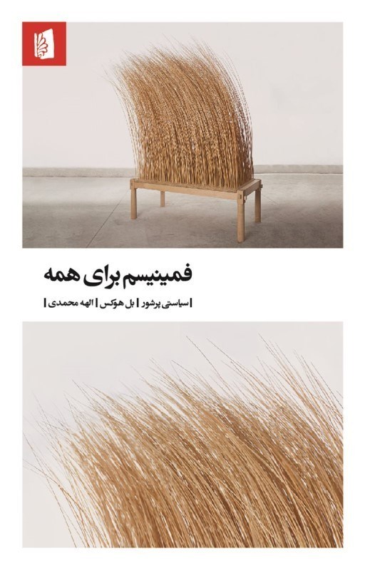 تصویر  فمينيسم براي همه (سياستي پرشور)