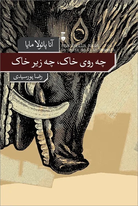 تصویر  چه روي خاك چه زير خاك